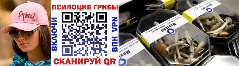 Галлюциногенные грибы Magic Shrooms  купить наркотики сайты  Зима 