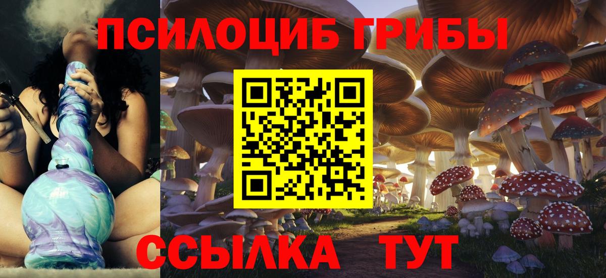 Псилоцибиновые грибы MAGIC MUSHROOMS Зима