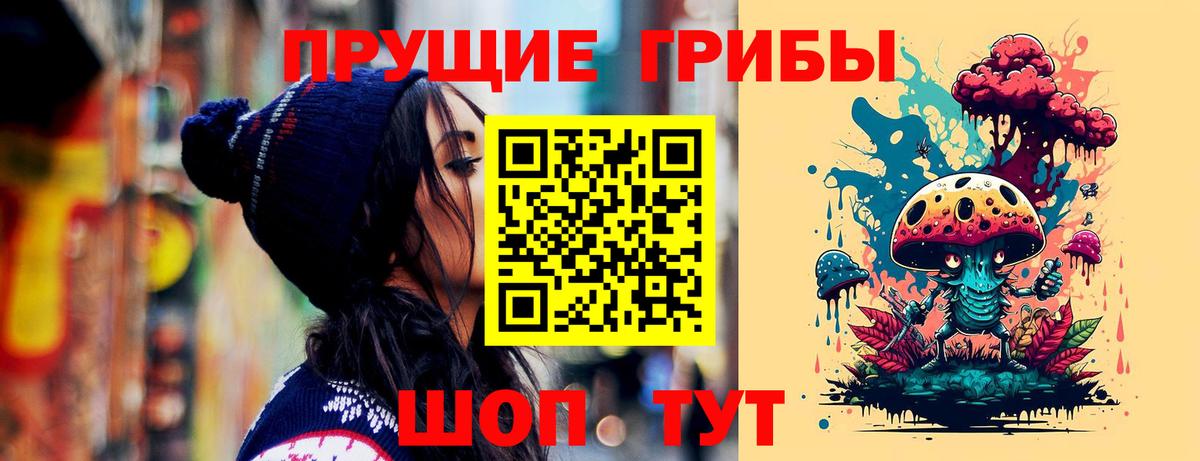 Зима  Псилоцибиновые грибы MAGIC MUSHROOMS  Вход с VPN 